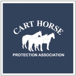 Cart Horse